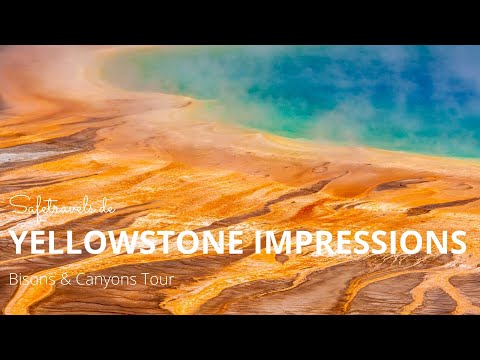 Impressions from Yellowstone National Park