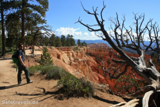 Rim Trail Bryce Canyon