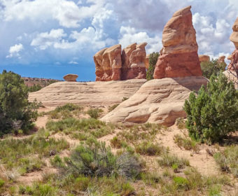 Devils Garden Blog Titel