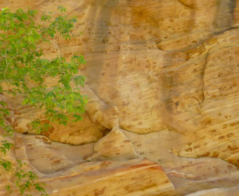 Hidden Canyon Titel Blog