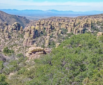 Chiricahua Blog Titel
