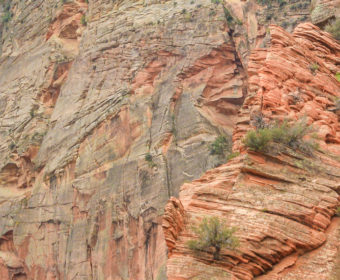Angels Landing Blog Titel
