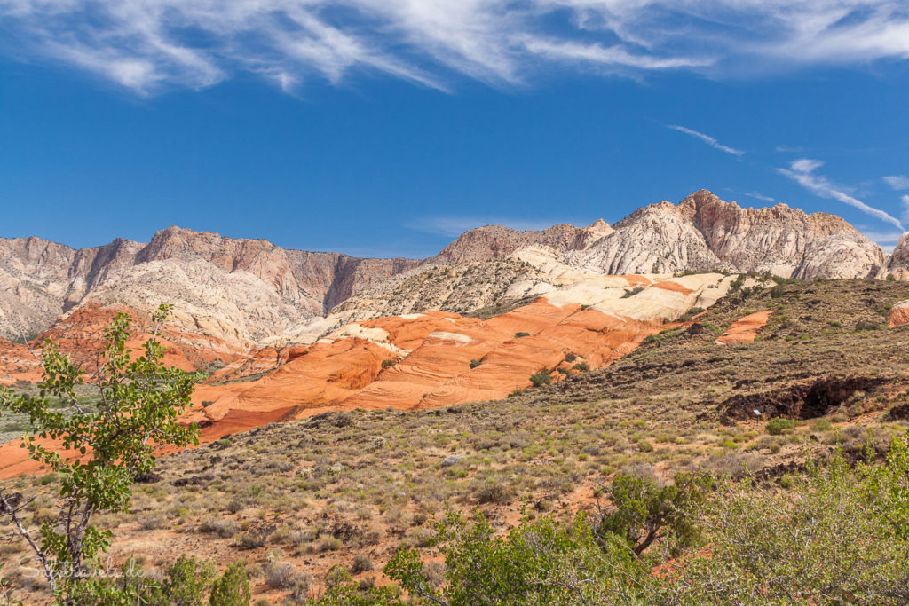 Überraschend schön: Snow Canyon State Park bei St. George