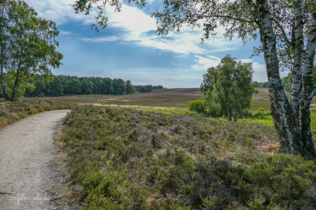 Weites Streckennetz in der Fischbeker Heide