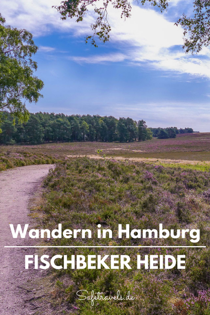 Wandern in Hamburg Fischbeker Heide Pin