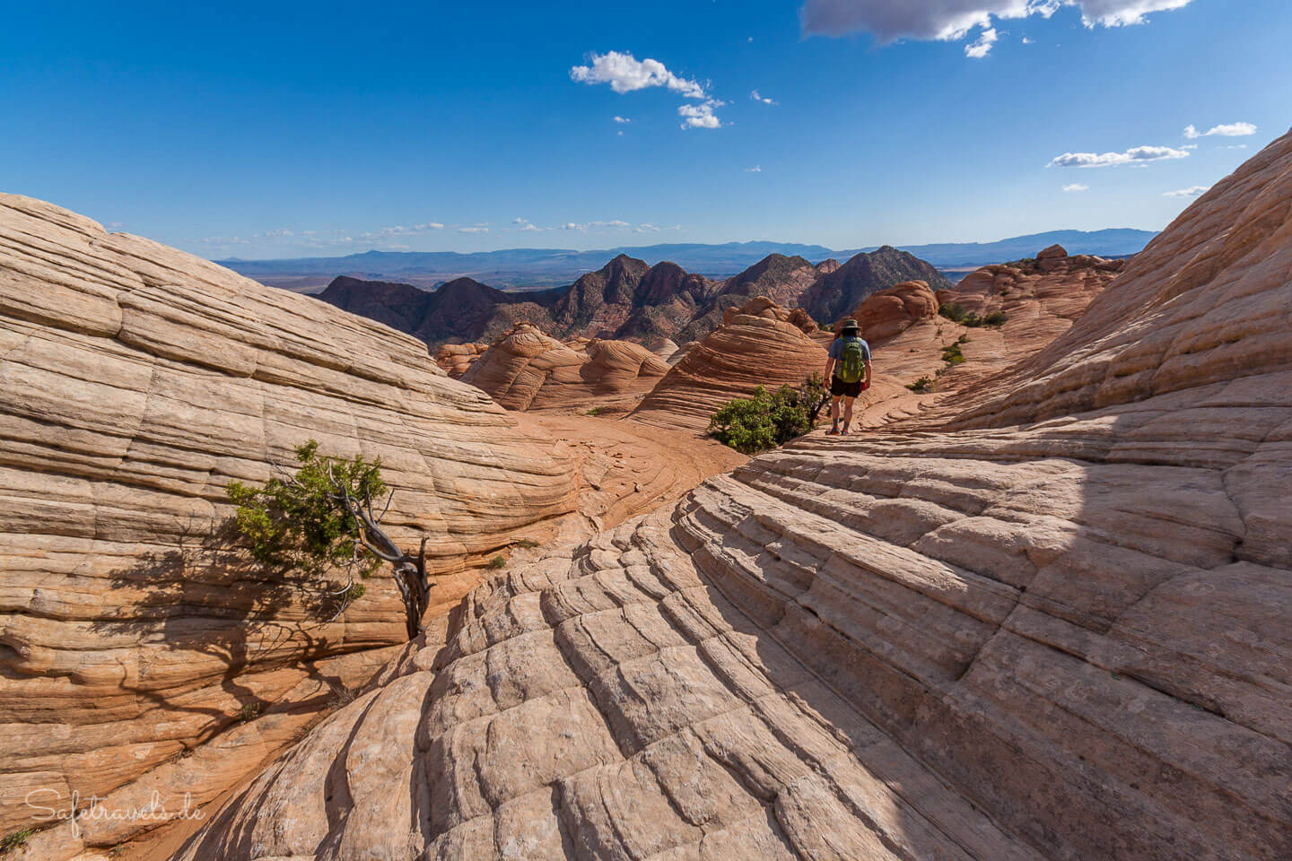 Yant Flat Candy Cliffs Sandsteinpracht in Utah