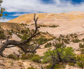 Yellow Rock Utah Blog Titel