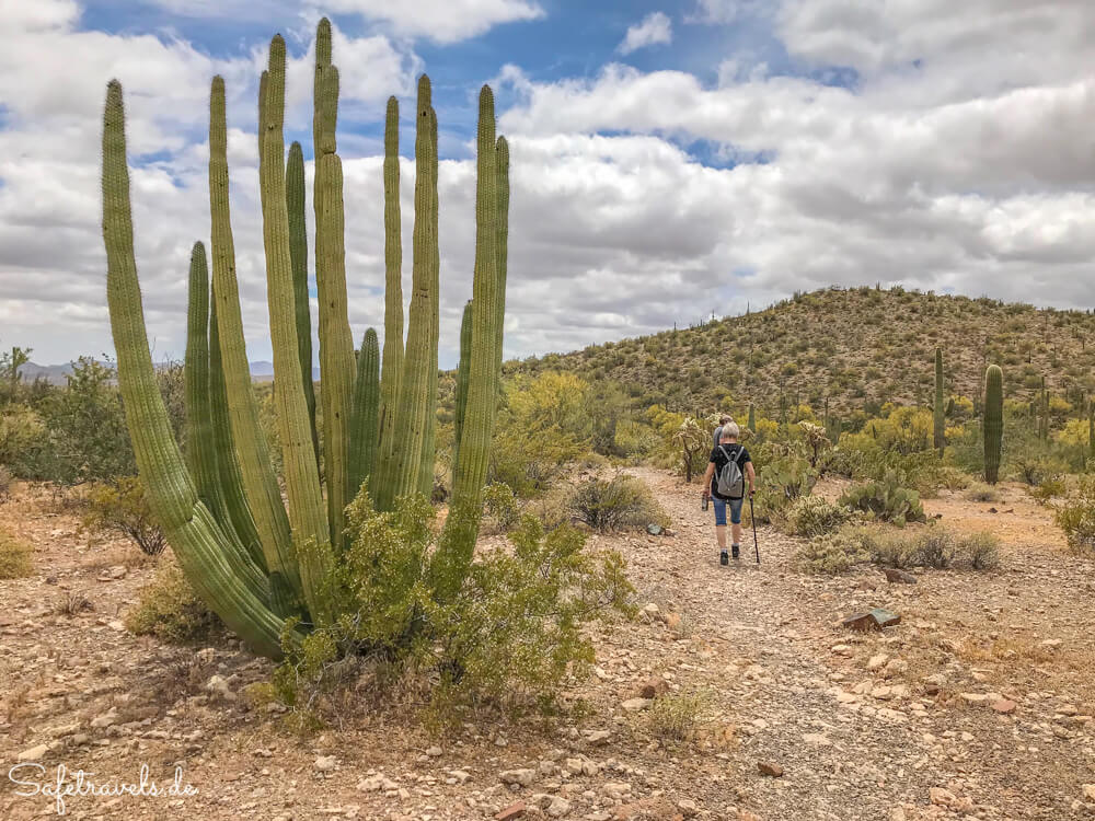 Wandern im Organ Pipe Cactus National Monument