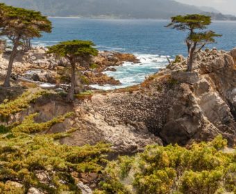 Pacific Coast Highway 17 Mile Drive Blog Titel