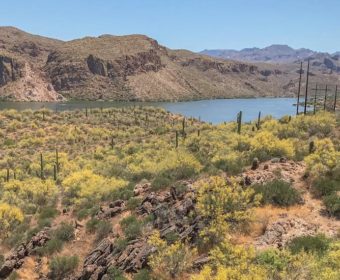 Apache Trail Phoenix Blog Titel