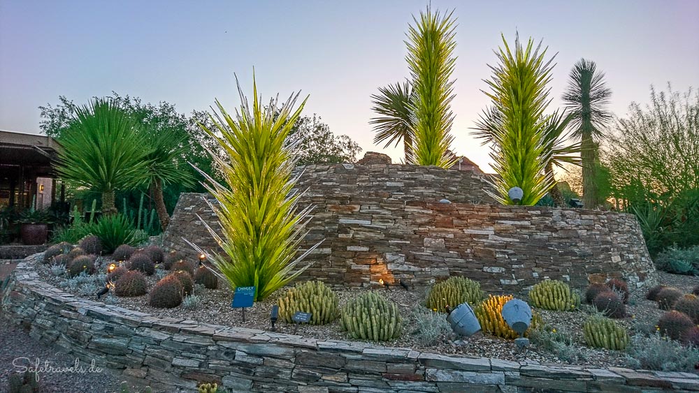 Desert Botanical Garden Die Wunderwelt Der Wuste Hautnah Erleben