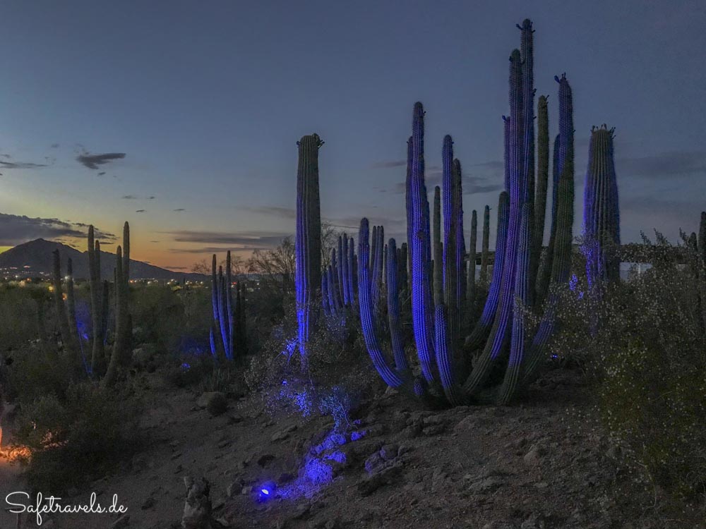 Desert Botanical Garden - Electric Desert auf dem Sonoran Desert Nature Loop Trail