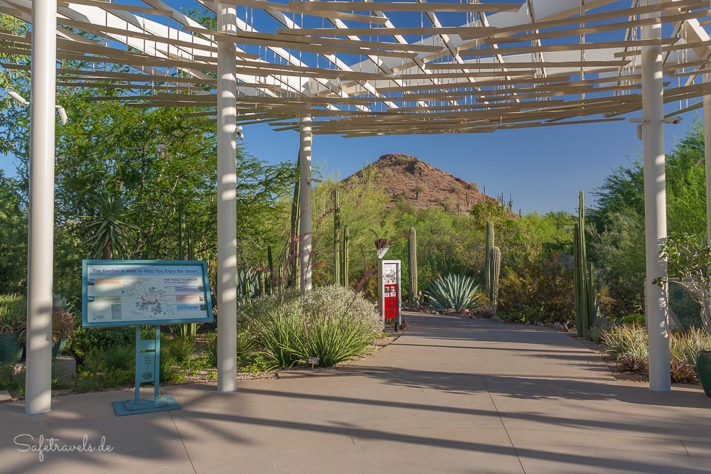 Desert Botanical Garden - am Desert Portal
