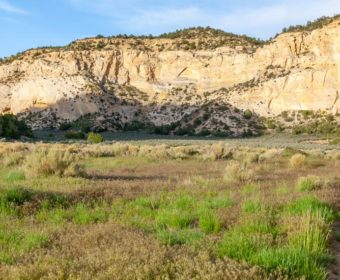 Johnson Canyon Kanab Blog Titel