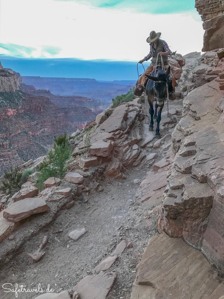 Grand Canyon - weiblicher Wrangler auf dem South Kaibab Trail