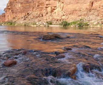 Cathedral Wash Marble Canyon Blog Titel
