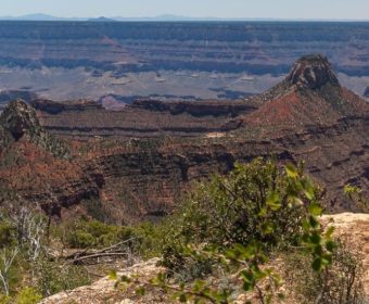 Grand Canyon Widforss Trail Blog Titel