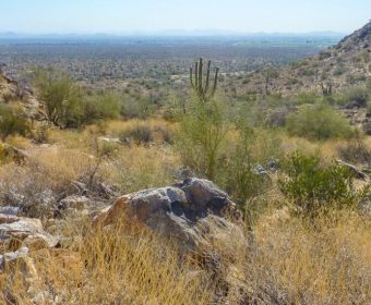 Phoenix White Tank Mountains Blog Titel