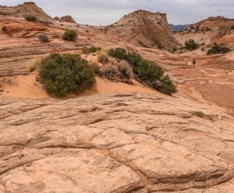 Zebra Slot Unnamed Canyon Blog Titel