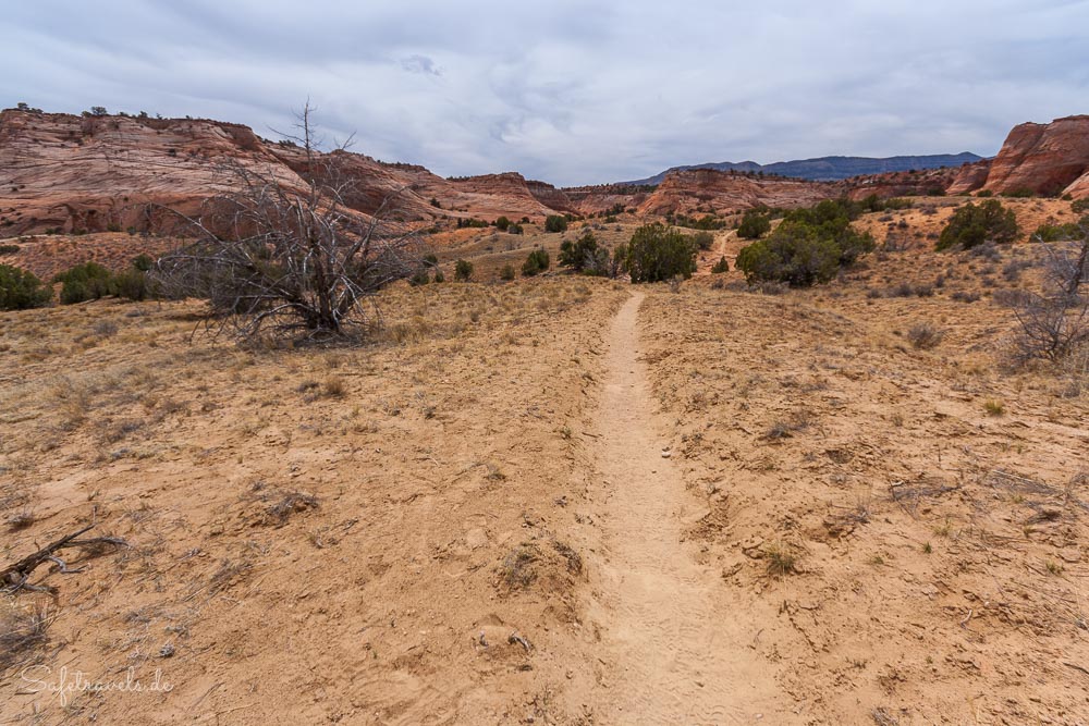 Am Anfang des Zebra Slot Canyon Trail