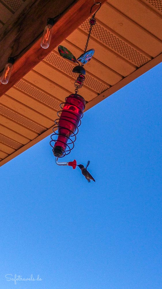 Kolibri auf der Terrasse der Burro Flats High Desert Lodge