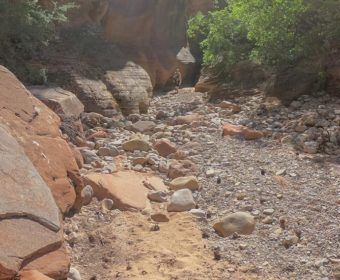 Zion National Park Osteingang Wandern Clear Creek Blog Titel
