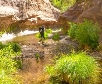 West Fork Oak Creek Sedona Blog Titel