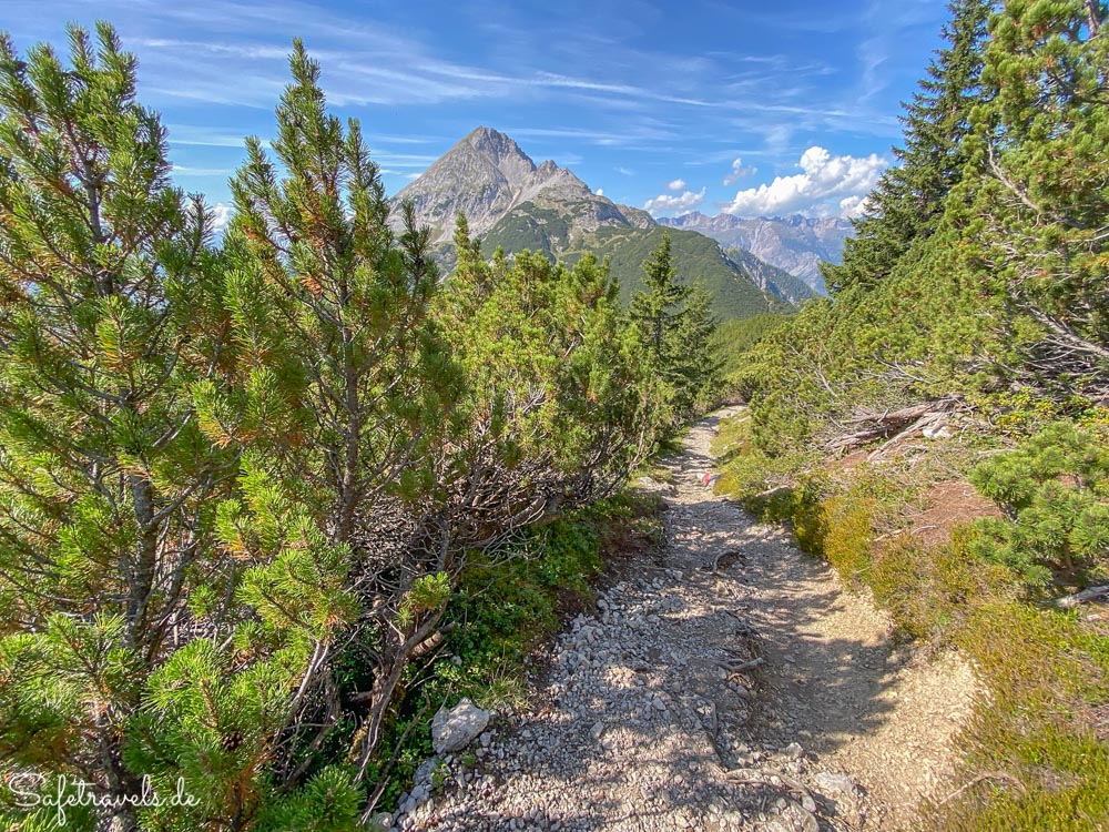 Schmaler Bergweg zum Höllkopf