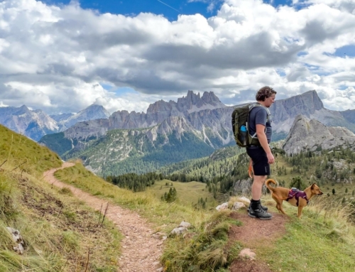 Wandern in den Dolomiten mit Hund