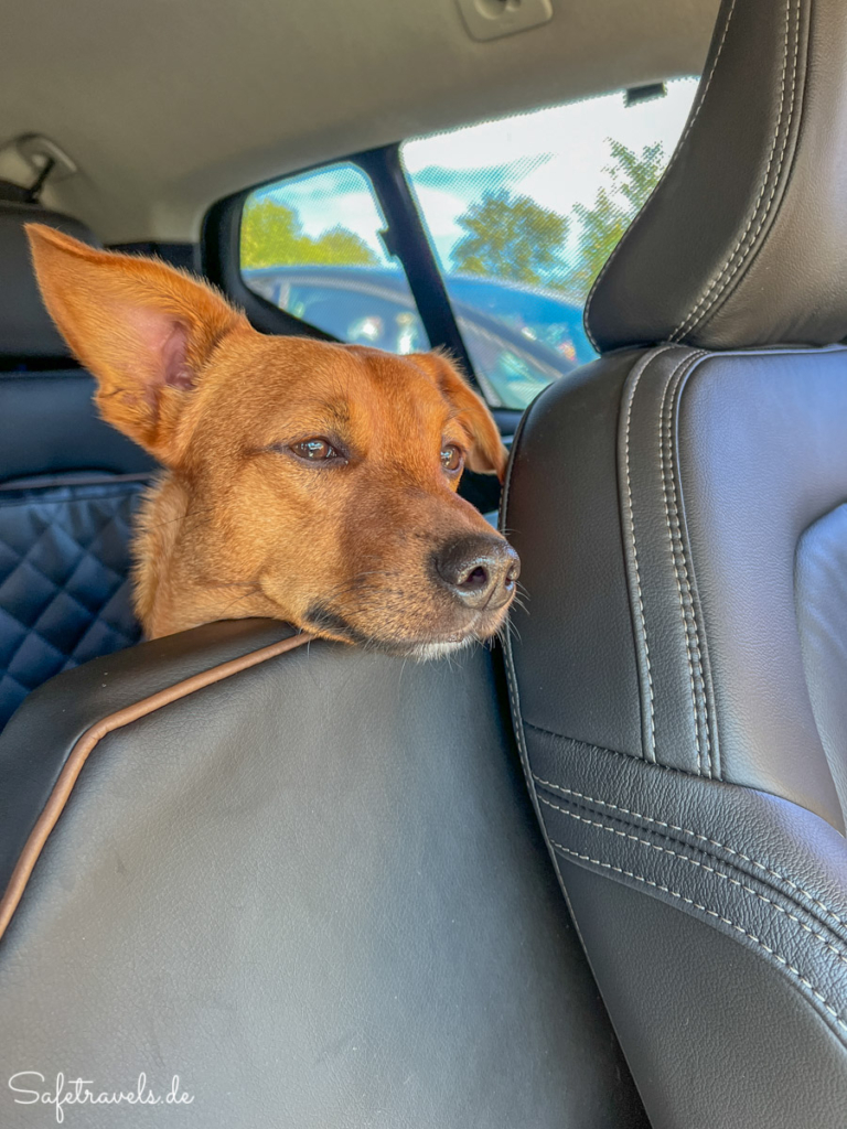 Anfahrt Dolomiten mit Hund