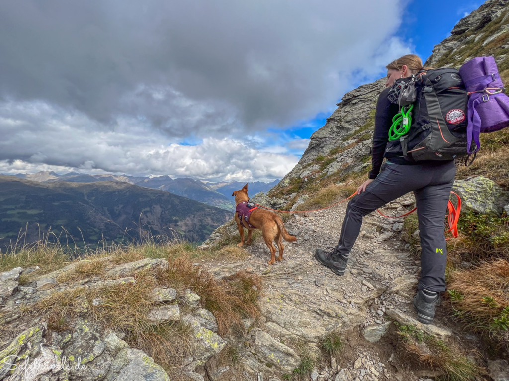 Auf den Monte Elmo mit Hund