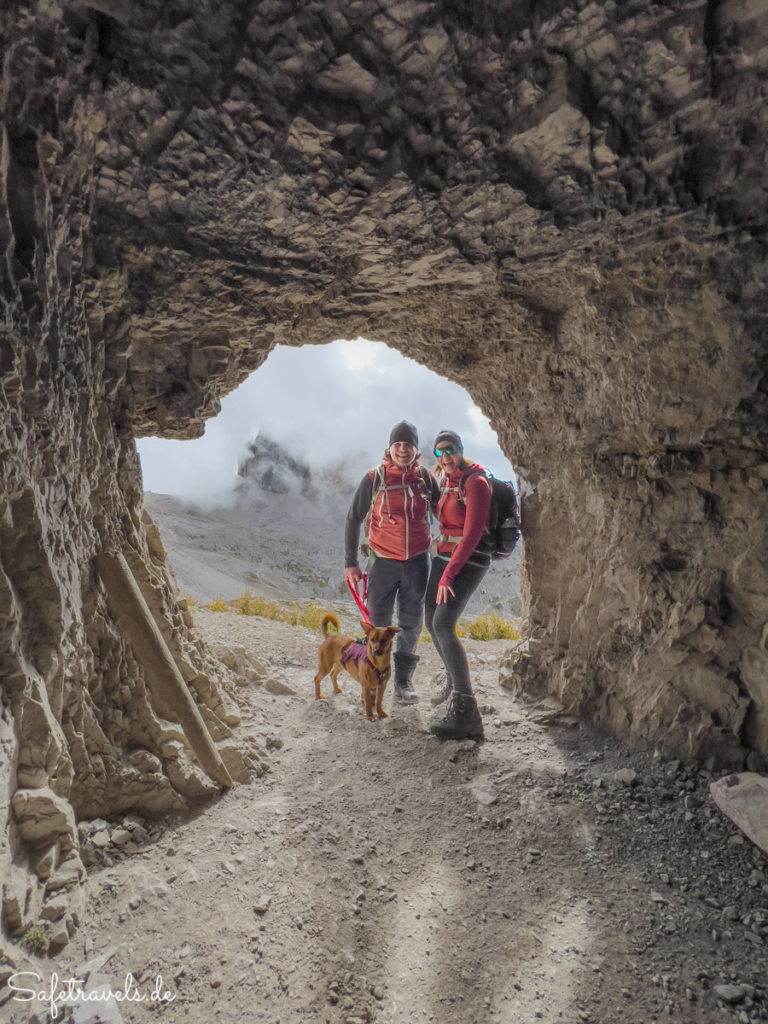 Drei Zinnen mit Hund - Dolomiten