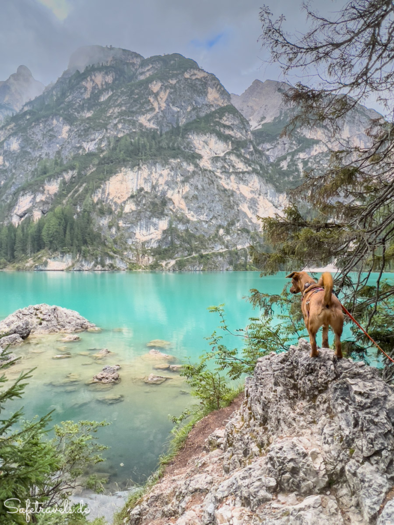 Emil am Pragser Wildsee