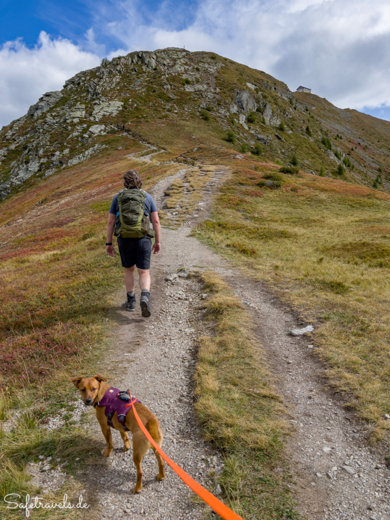 Monte Elmo mit Hund