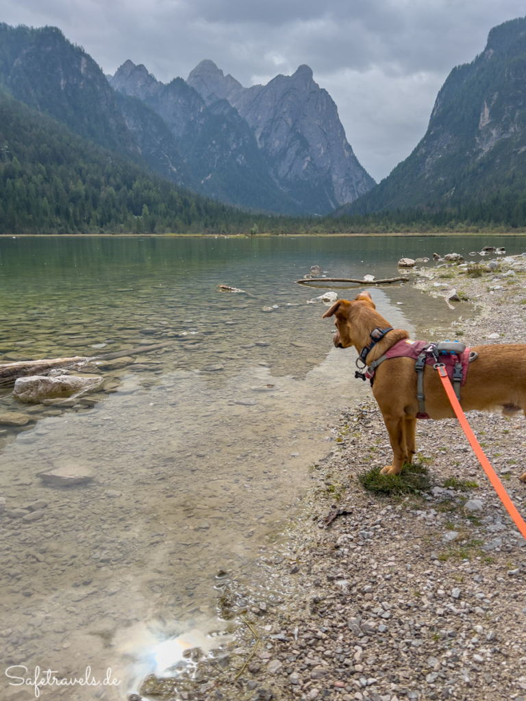 Toblacher See mit Hund