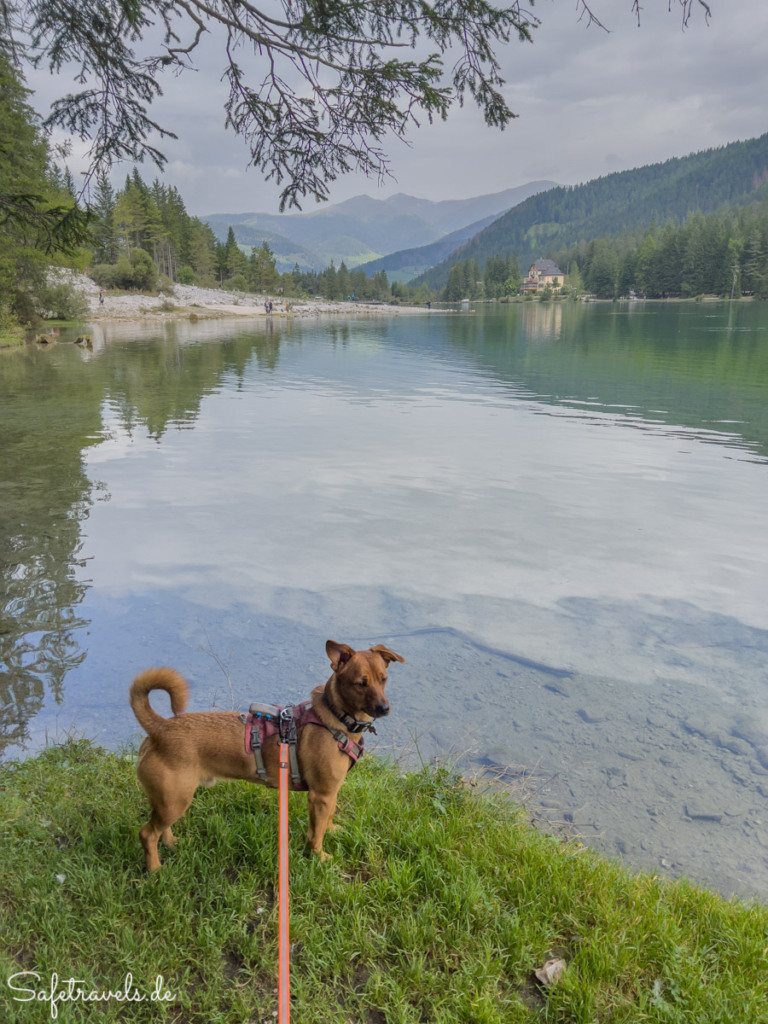 Toblacher See - mit Hund