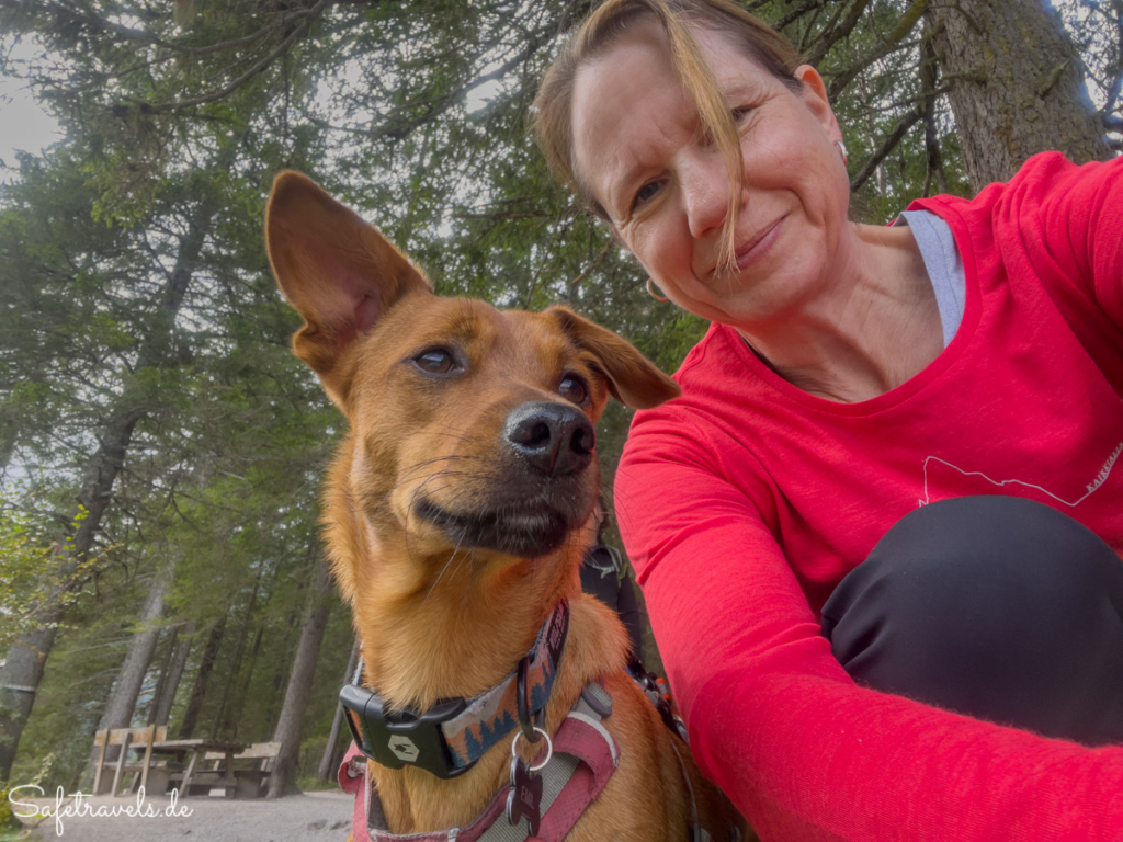 Wandern mit Hund in Südtirol