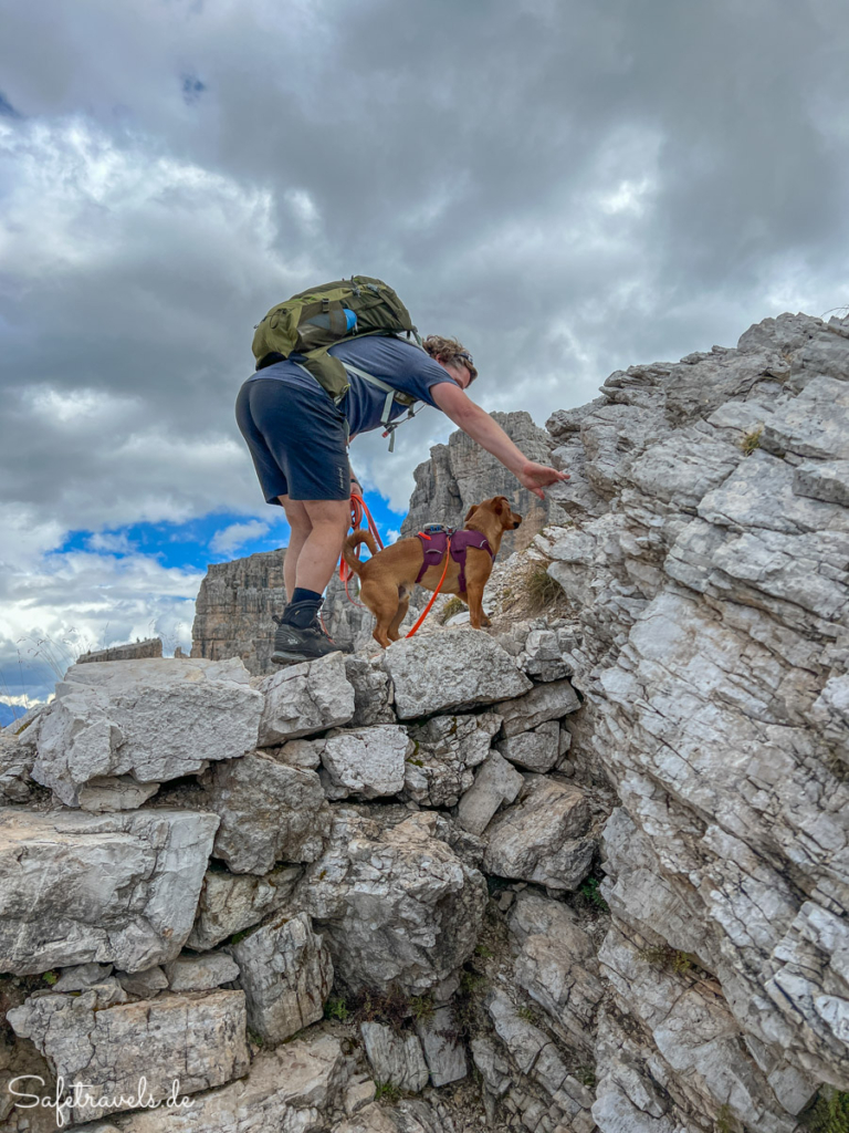 Wandern und Klettern mit Hund in den Dolomiten